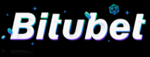 Bitbubet Logo 300x115